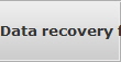 Data recovery for Evergreen data