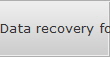 Data recovery for Evergreen data